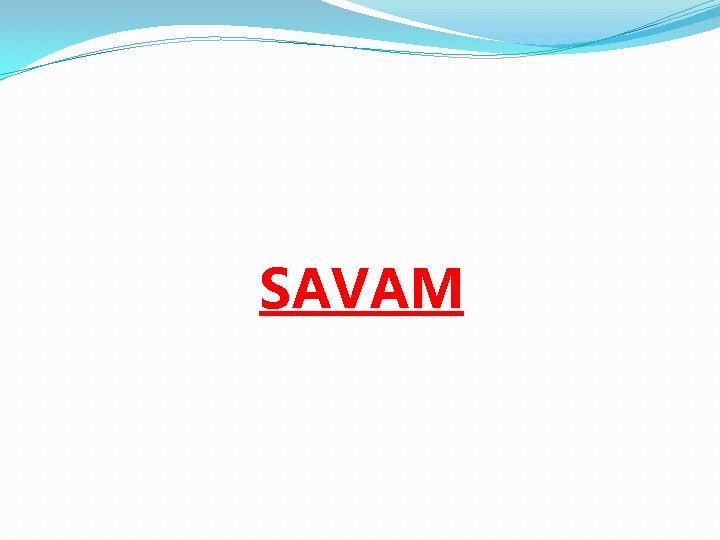 SAVAM 