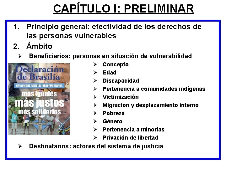 CAPÍTULO I: PRELIMINAR 1. Principio general: efectividad de los derechos de las personas vulnerables