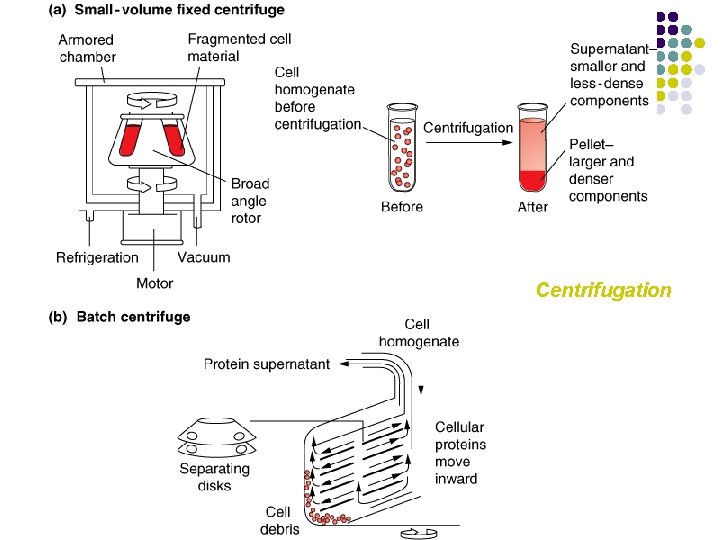 Centrifugation 
