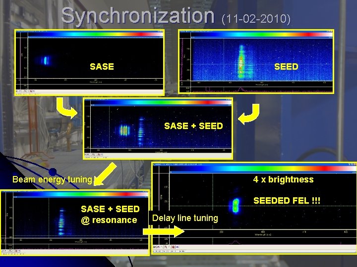 Synchronization (11 -02 -2010) SASE SEED SASE + SEED Beam energy tuning SASE +