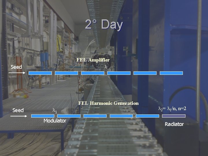 2° Day FEL Amplifier Seed FEL Harmonic Generation Seed 1 Modulator 2= 1/n, n=2