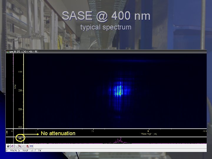 SASE @ 400 nm typical spectrum No attenuation 