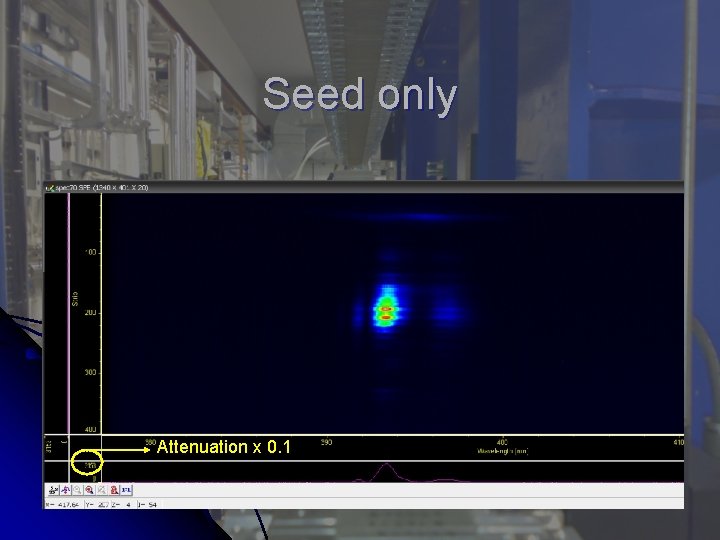 Seed only Attenuation x 0. 1 