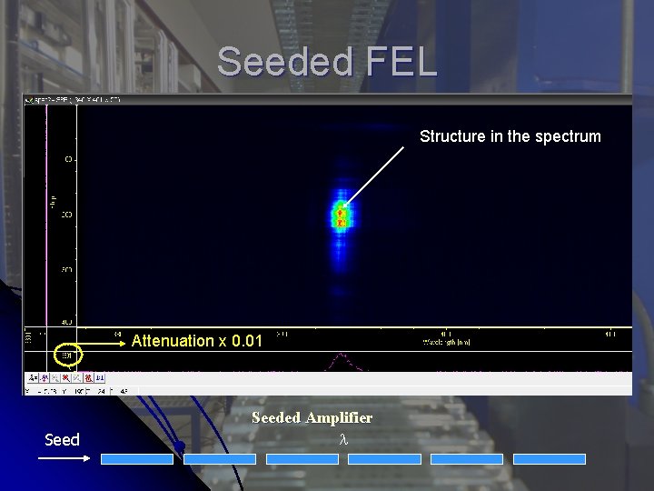 Seeded FEL Structure in the spectrum Attenuation x 0. 01 Seeded Amplifier 