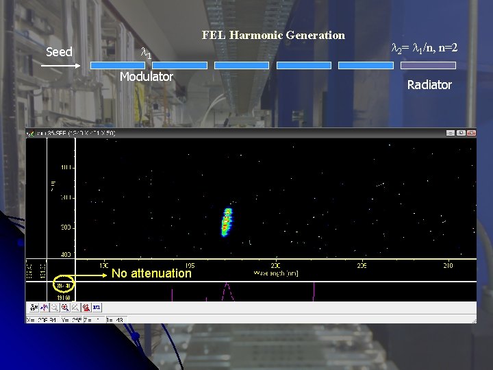 FEL Harmonic Generation Seed 1 Modulator No attenuation 2= 1/n, n=2 Radiator 