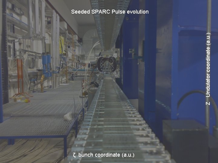 Z Undulator coordinate (a. u. ) Seeded SPARC Pulse evolution ζ bunch coordinate (a.