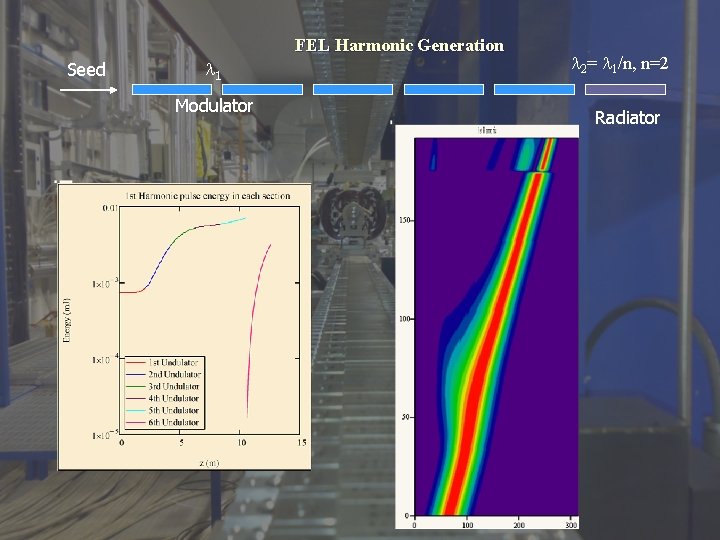 FEL Harmonic Generation Seed 1 Modulator 2= 1/n, n=2 Radiator 