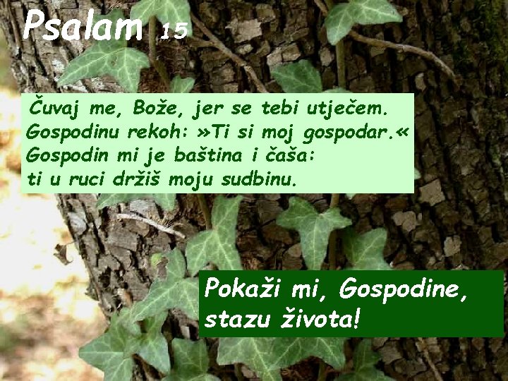 Psalam 15 Čuvaj me, Bože, jer se tebi utječem. Gospodinu rekoh: » Ti si
