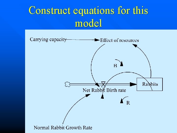 Construct equations for this model 