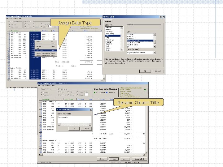 Assign Data Type Rename Column Title 