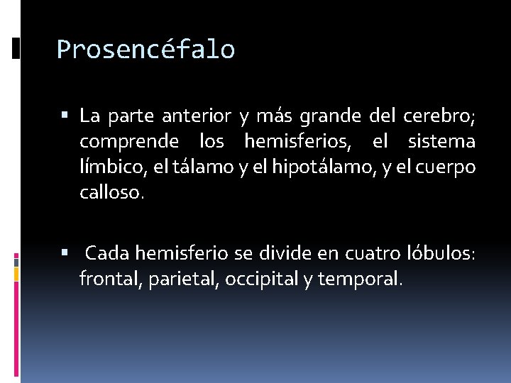 Prosencéfalo La parte anterior y más grande del cerebro; comprende los hemisferios, el sistema