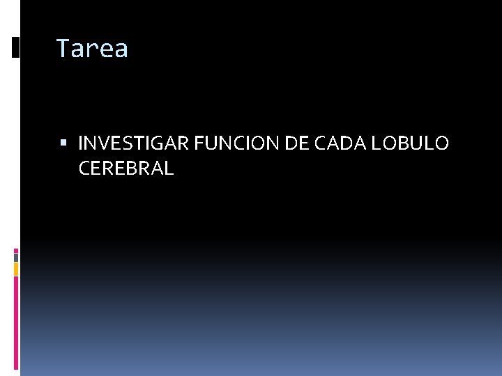 Tarea INVESTIGAR FUNCION DE CADA LOBULO CEREBRAL 