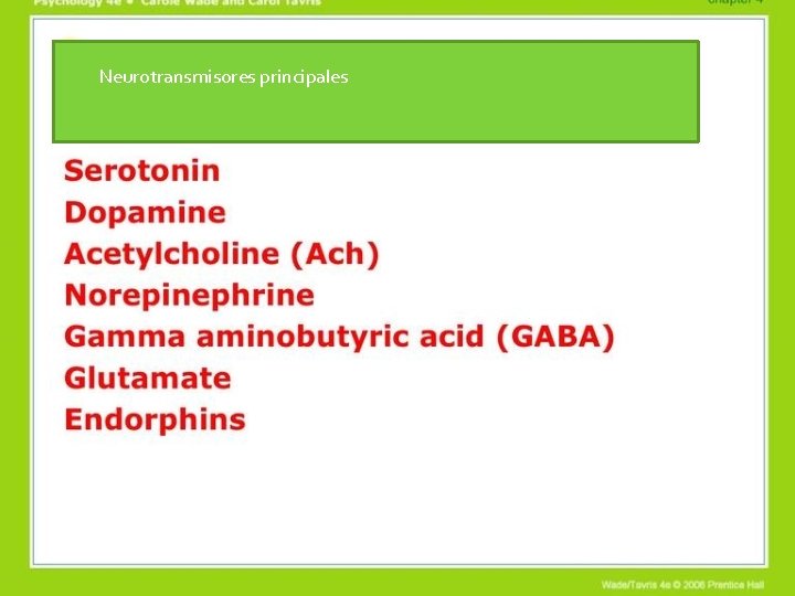 Neurotransmisores principales 