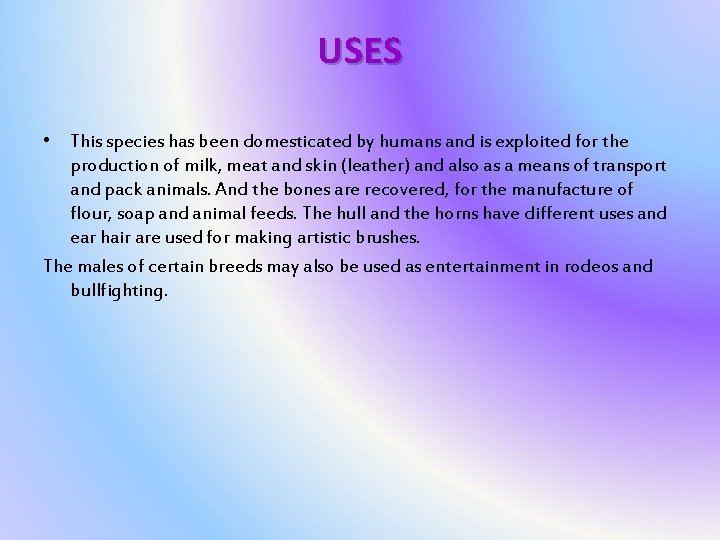 USES • This species has been domesticated by humans and is exploited for the