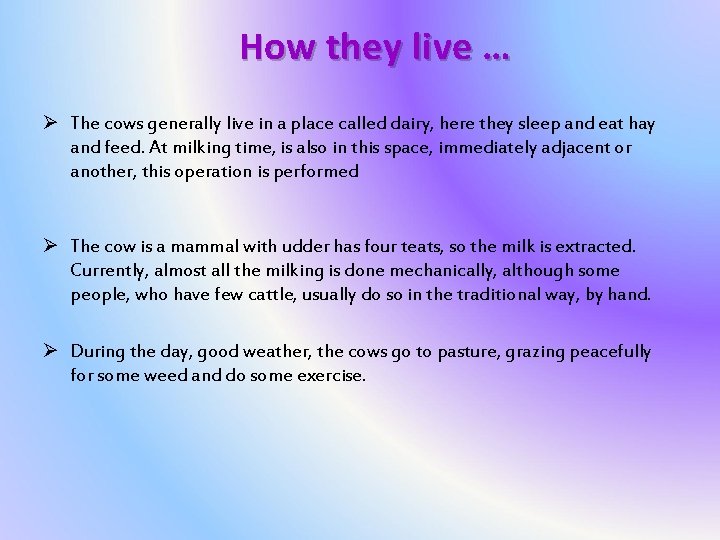 How they live … Ø The cows generally live in a place called dairy,