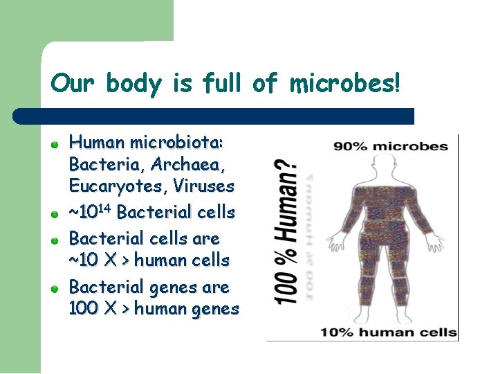 Our body is full of microbes! Human microbiota: Bacteria, Archaea, Eucaryotes, Viruses ~1014 Bacterial