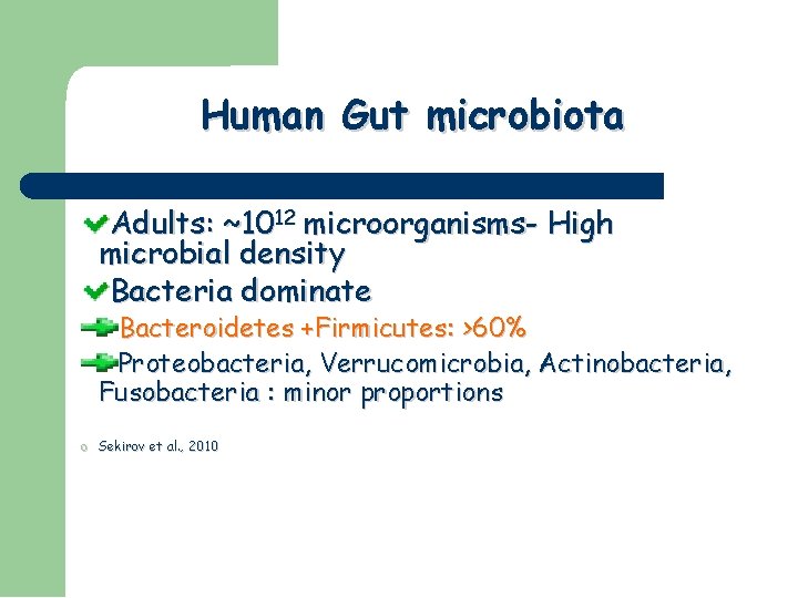Human Gut microbiota Adults: ~1012 microorganisms- High microbial density Bacteria dominate Bacteroidetes +Firmicutes: >60%