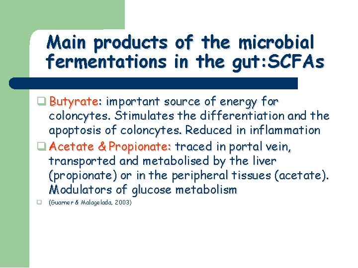 Main products of the microbial fermentations in the gut: SCFAs Butyrate: important source of