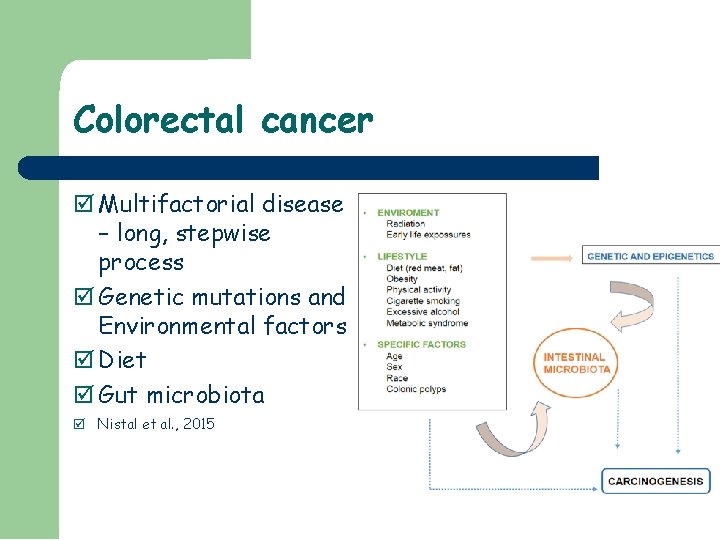 Colorectal cancer Multifactorial disease – long, stepwise process Genetic mutations and Environmental factors Diet