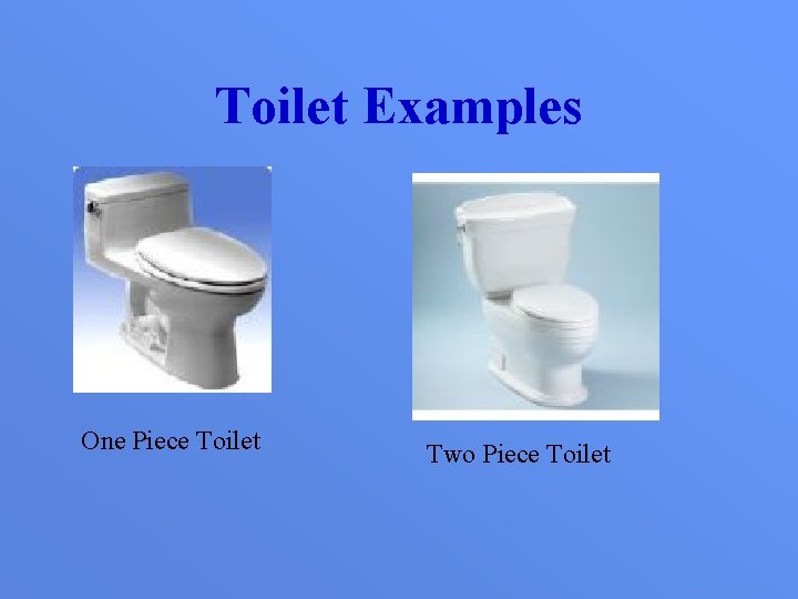 Toilet Examples One Piece Toilet Two Piece Toilet 