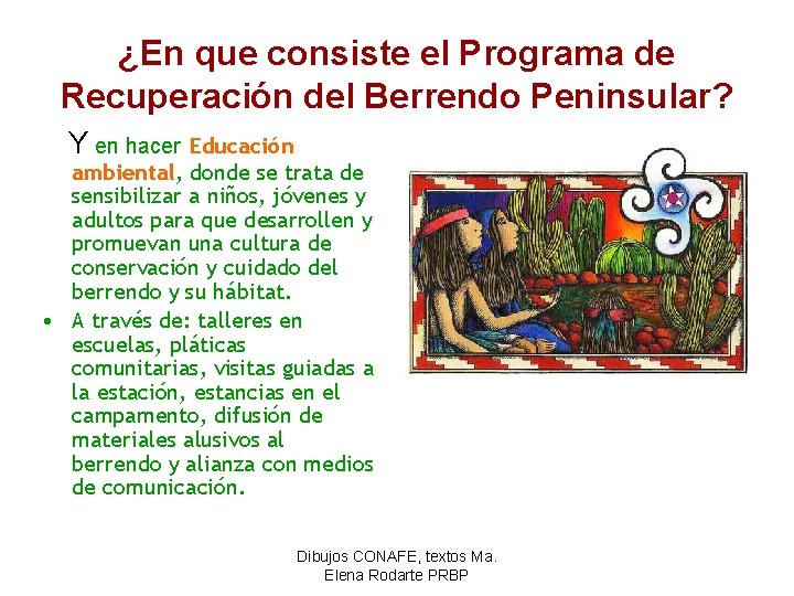 ¿En que consiste el Programa de Recuperación del Berrendo Peninsular? Y en hacer Educación