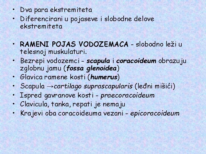  • Dva para ekstremiteta • Diferencirani u pojaseve i slobodne delove ekstremiteta •