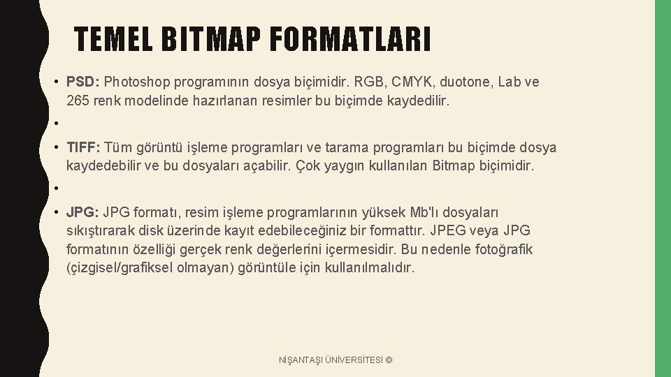 TEMEL BITMAP FORMATLARI • PSD: Photoshop programının dosya biçimidir. RGB, CMYK, duotone, Lab ve