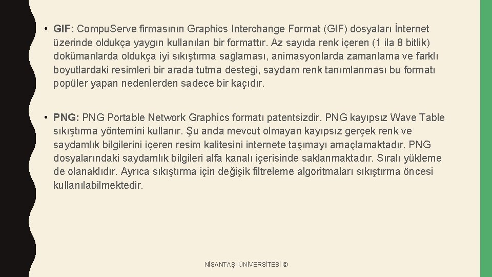  • GIF: Compu. Serve firmasının Graphics Interchange Format (GIF) dosyaları İnternet üzerinde oldukça