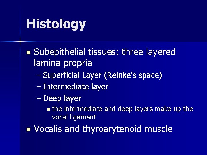 Histology n Subepithelial tissues: three layered lamina propria – Superficial Layer (Reinke’s space) –