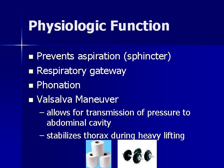 Physiologic Function Prevents aspiration (sphincter) n Respiratory gateway n Phonation n Valsalva Maneuver n