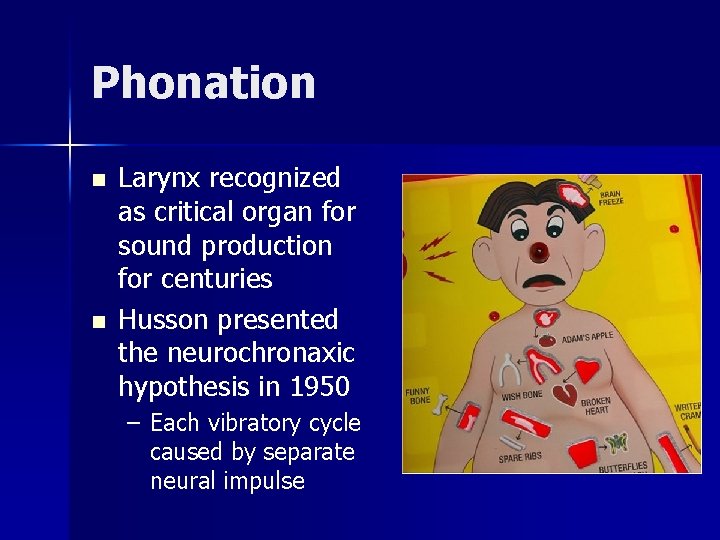 Phonation n n Larynx recognized as critical organ for sound production for centuries Husson