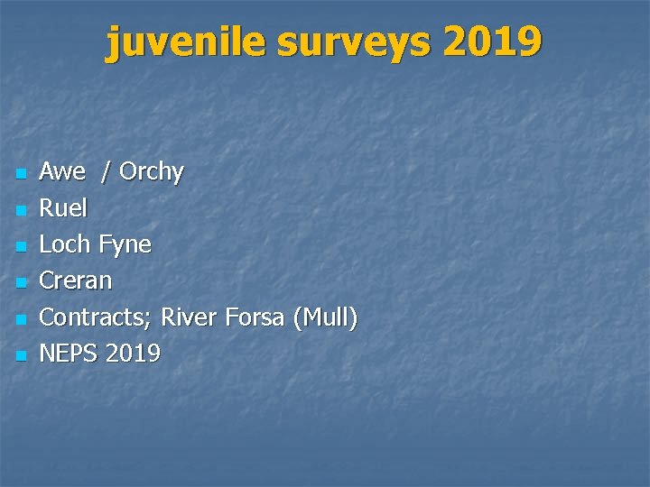 juvenile surveys 2019 n n n Awe / Orchy Ruel Loch Fyne Creran Contracts;