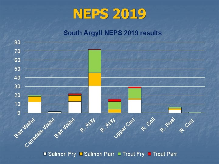 NEPS 2019 South Argyll NEPS 2019 results 80 70 60 50 40 30 20