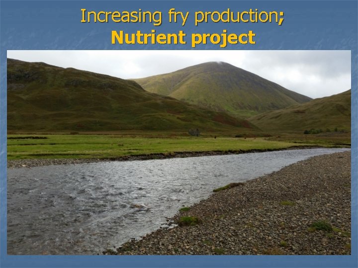 Increasing fry production; Nutrient project 