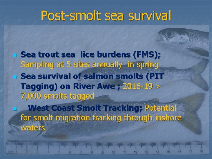 Post-smolt sea survival n n n Sea trout sea lice burdens (FMS); Sampling at