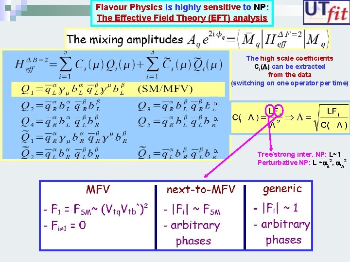Flavour Physics is highly sensitive to NP: The Effective Field Theory (EFT) analysis The