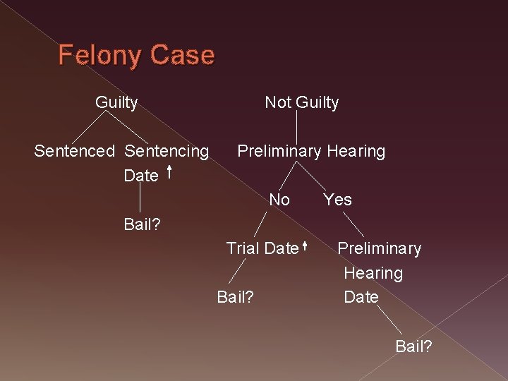 Felony Case Guilty Not Guilty Sentenced Sentencing Preliminary Hearing Date No Yes Bail? Trial