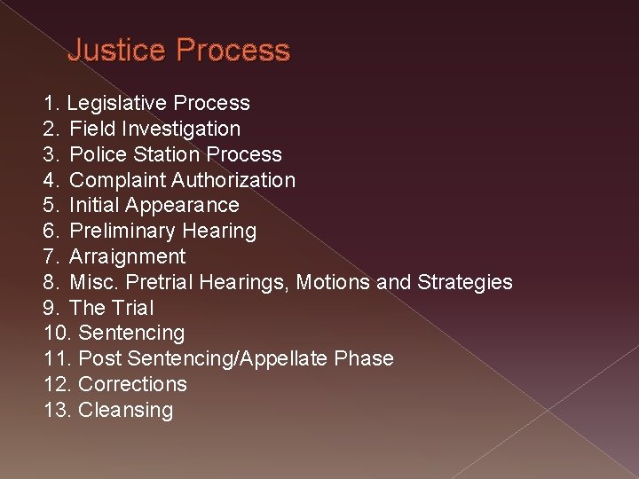 Justice Process 1. Legislative Process 2. Field Investigation 3. Police Station Process 4. Complaint