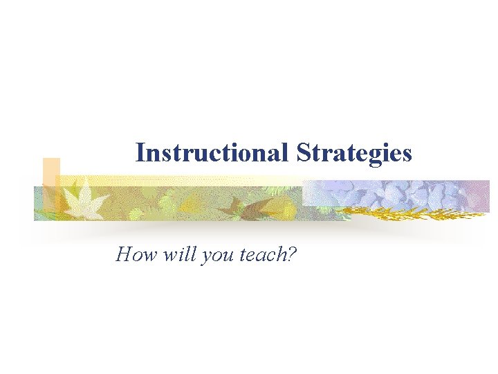Instructional Strategies How will you teach? 