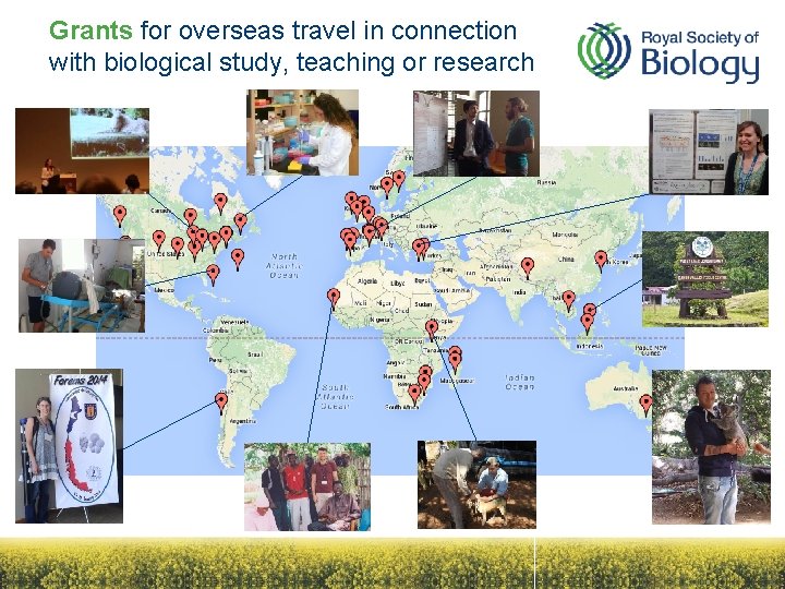 Grants for overseas travel in connection with biological study, teaching or research 