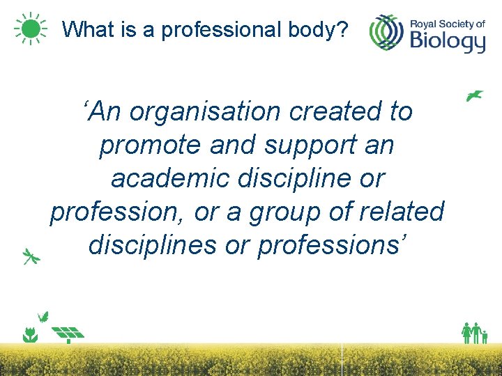 What is a professional body? ‘An organisation created to promote and support an academic