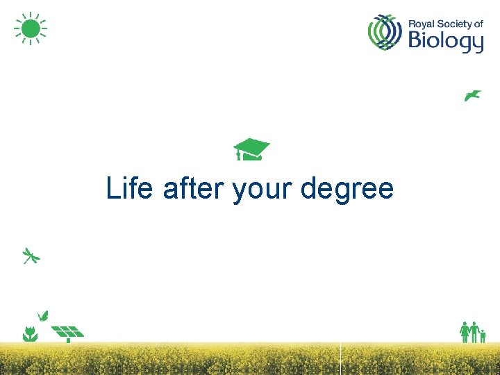 Life after your degree 