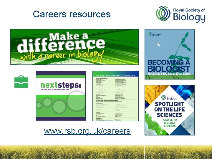 Careers resources www. rsb. org. uk/careers 