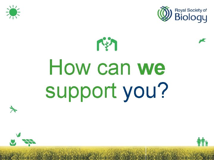 How can we support you? 