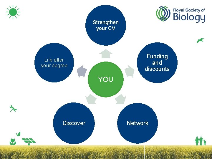 Strengthen your CV Funding and discounts Life after your degree YOU Discover Network 