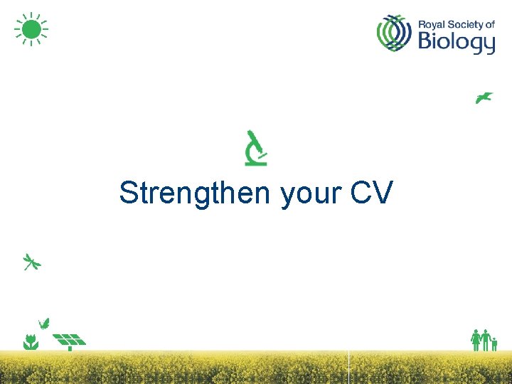 Strengthen your CV 