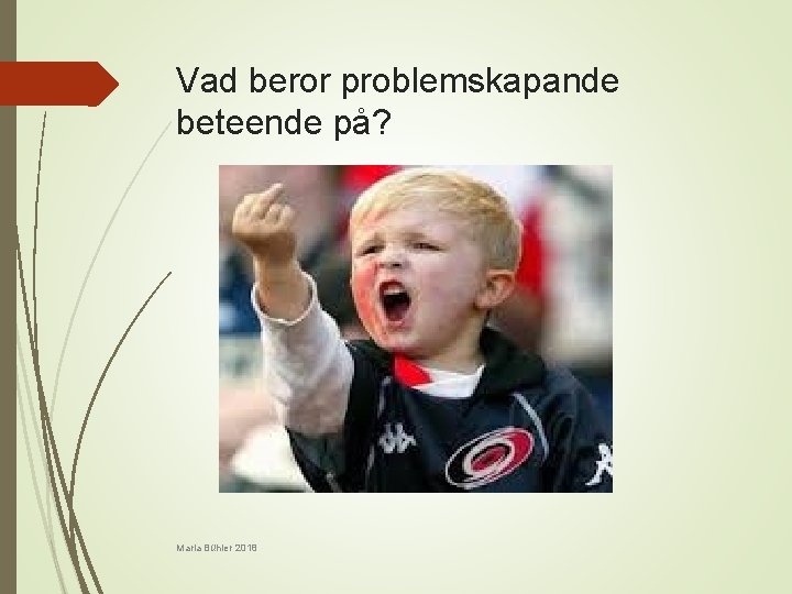 Vad beror problemskapande beteende på? Maria Bühler 2018 