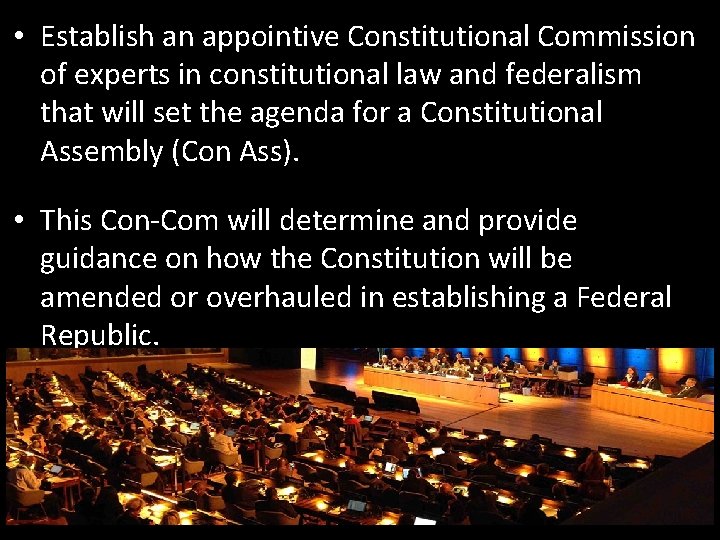  • Establish an appointive Constitutional Commission of experts in constitutional law and federalism