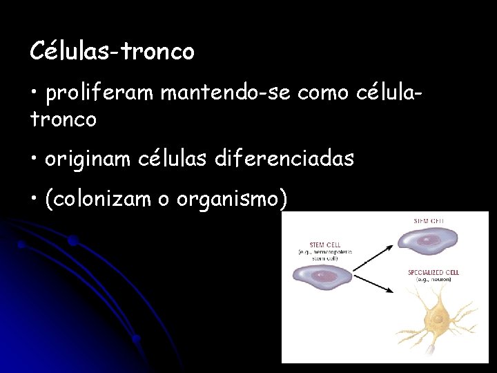 Células-tronco • proliferam mantendo-se como célulatronco • originam células diferenciadas • (colonizam o organismo)