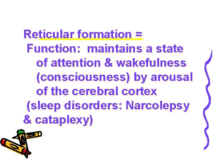 Reticular formation = Function: maintains a state of attention & wakefulness (consciousness) by arousal